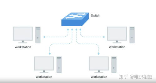計(jì)算機(jī)網(wǎng)絡(luò)快速入門 網(wǎng)絡(luò)設(shè)備、電纜及其功能解析